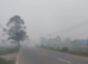 Read more about the article Pontianak Dikepung Asap Saat Air Surut